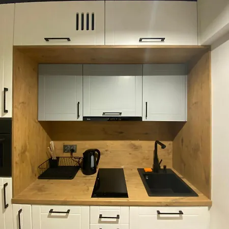 Apartment Przytulne Studio W Centrum/ Centrum Kongresowe Ice *